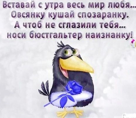 Вставай с утра весь мир любя Овсянку кушай спозаранку А чтоб не сглазили тебя носИ бЮСТГЗЛЪТЕР НЗИЗИЗНКУ