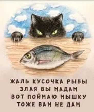 ЖАЛЬ КУСОЧКА РЫБЫ ЗЛАЯ ВЫ МАДАМ ВОТ ПОЙМАЮ МЫШКУ ТОЖЕ ВАМ НЕ ДАМ