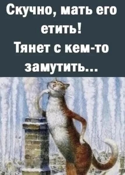 Скучно мать его етить Тянет с кем то замутить