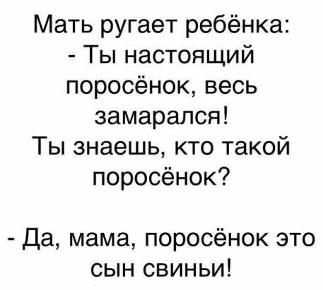 Мать ругает ребёнка Ты настоящий поросёнок весь замарался Ты знаешь кто такой поросёнок Да мама поросёнок это сын свиньи