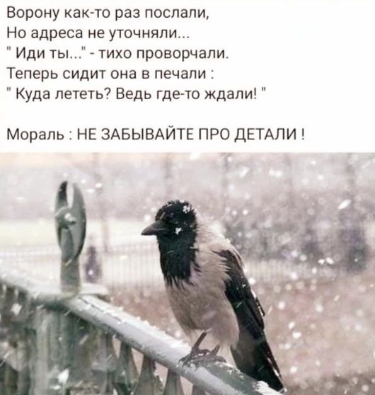 Ворону как то раз послали Но адреса не уточняли Иди ты тихо проворчали Теперь сидит она в печали Куда лететь Ведь где то ждали Мораль НЕ ЗАБЫВАЙТЕ ПРО ДЕТАЛИ