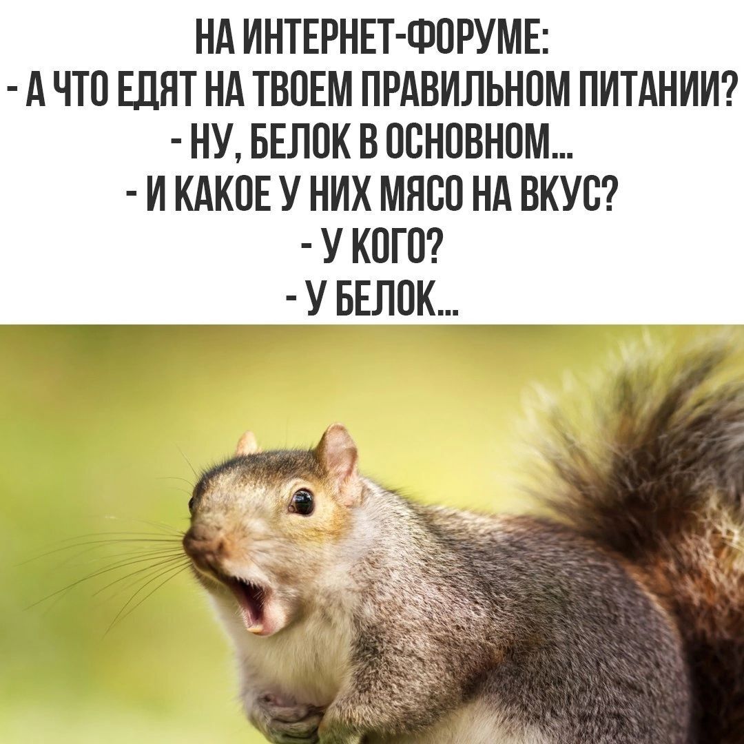 НАИНТЕРНЕТ ФОРУМЕ АЧТО ЕДЯТ НА ТВОЕМ ПРАВИЛЬНОМ ПИТАНИИ НУ БЕЛОК В ОСНОВНОМ ИКАКОЕУ НИХ МЯСО НА ВКУС У КОГО УБЕЛОК