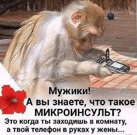 Мужики! А вы знаете, что такое МИКРОИНСУЛЬТ? Это когда ты заходишь в комнату, а твой телефон в руках у жены...