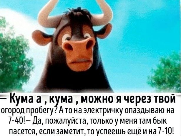 — Кума а , кума , можно я через твой огород пробегу? А то на электричку опаздываю на 7-40! — Да, пожалуйста, только у меня там бык пасется, если заметит, то успеешь ещё и на 7-10!