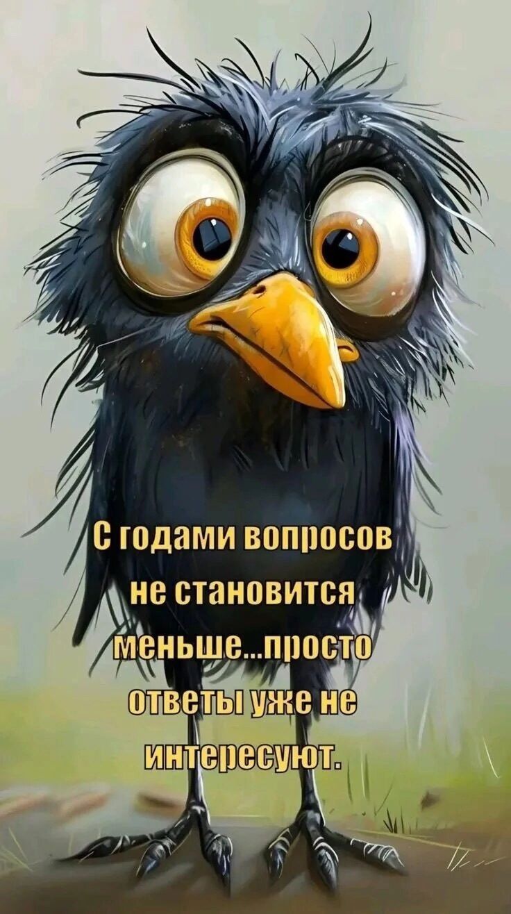 С годами вопросов не становится меньше...просто ответы уже не интересуют.