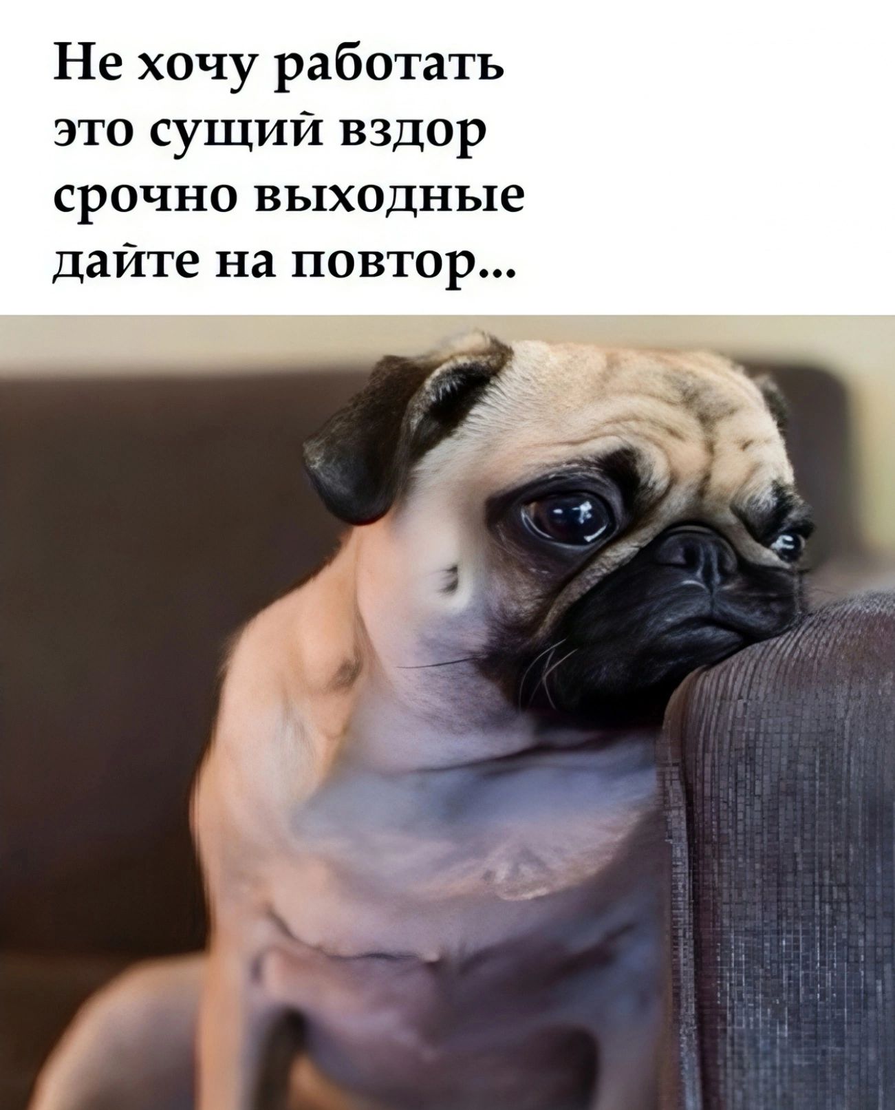 Не хочу работать это сущий вздор срочно выходные дайте на повтор...