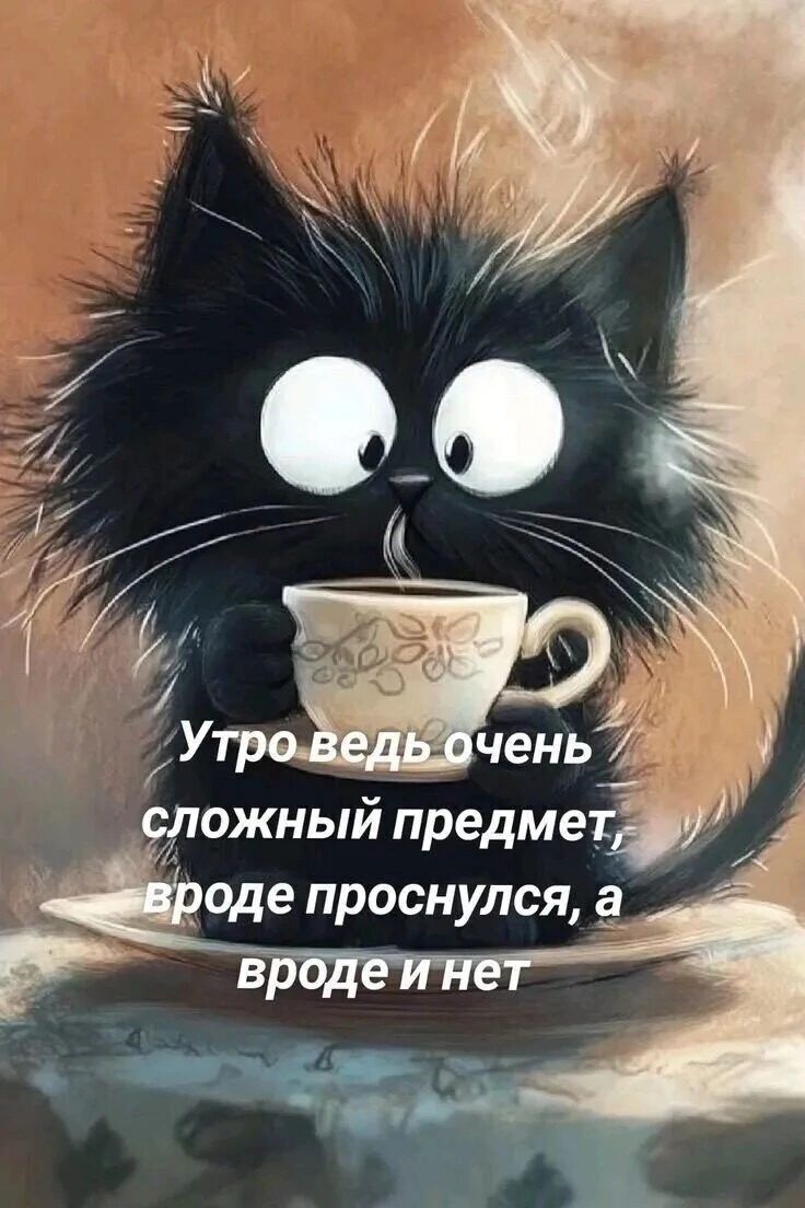 Утро ведь очень сложный предмет, вроде проснулся, а вроде и нет