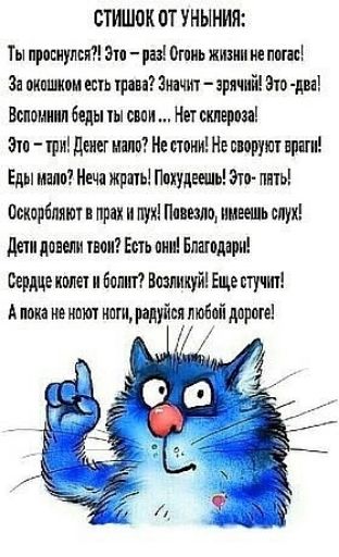 СТИШОК ОТ УНЫНИЯ:
Ты проснулся?! Это - раз! Огонь жизни не погас!
За окошка есть трава? Значит - яркий! Это - два!
Вспомнил беды твои ... Нет склероза!
Это - три! Денег мало? Не стонь! Не своруют враги!
Еды мало? Неча жрать! Похудеешь! Это - пять!
Оскорбляют в прах и пух! Повезло, имеешь слух!
Дети довели твои? Есть они! Благодари!
Сердце колет и болит? Возликуй! Еще стучит!
А пока не ноют ноги, радуйся любой дороге!