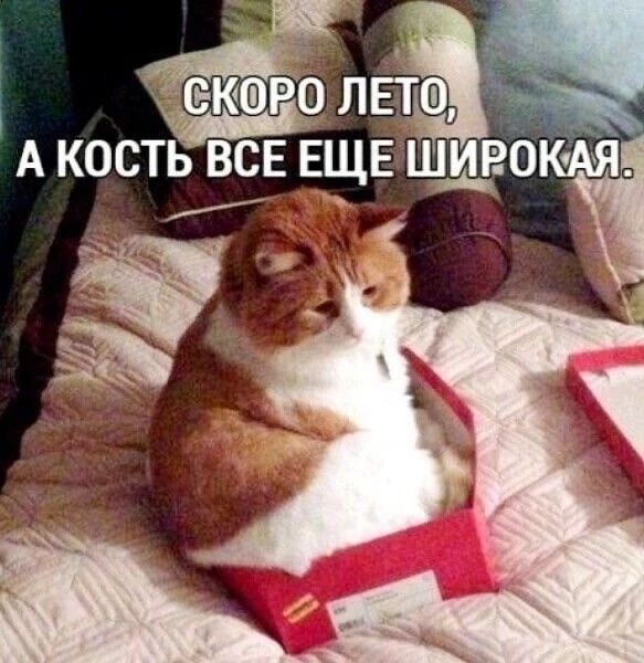 СКОРО ЛЕТО, А КОСТЬ ВСЕ ЕЩЕ ШИРОКАЯ.