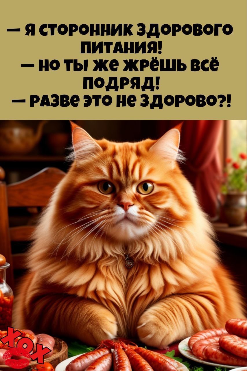 — Я сторонник здорового питания! — Но ты же жрёшь всё подряд! — Разве это не здорово?!