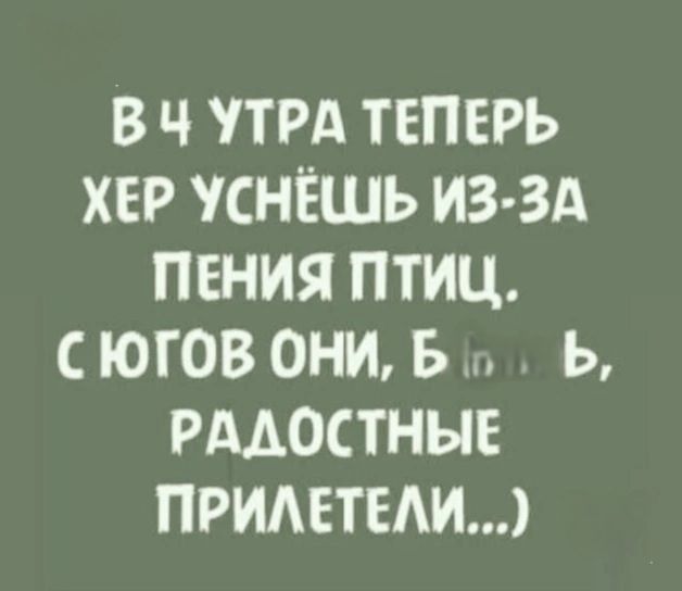 В 4 утра теперь хер уснёшь из-за пения птиц. С югов они, б ль, радостные прилетели...)