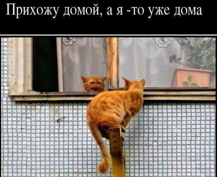 Прихожу домой, а я -то уже дома