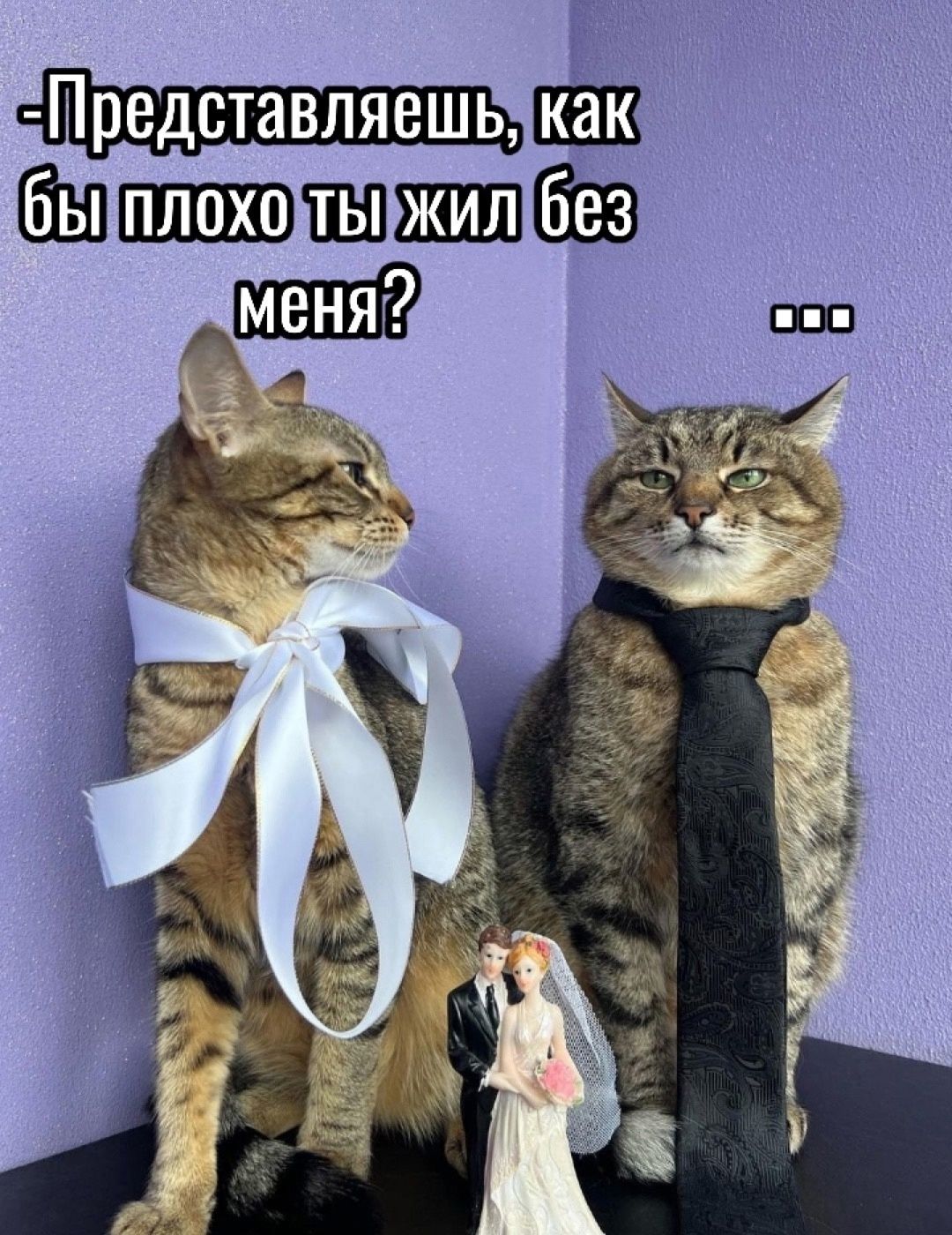 -Представляешь, как бы плохо ты жил без меня? ...