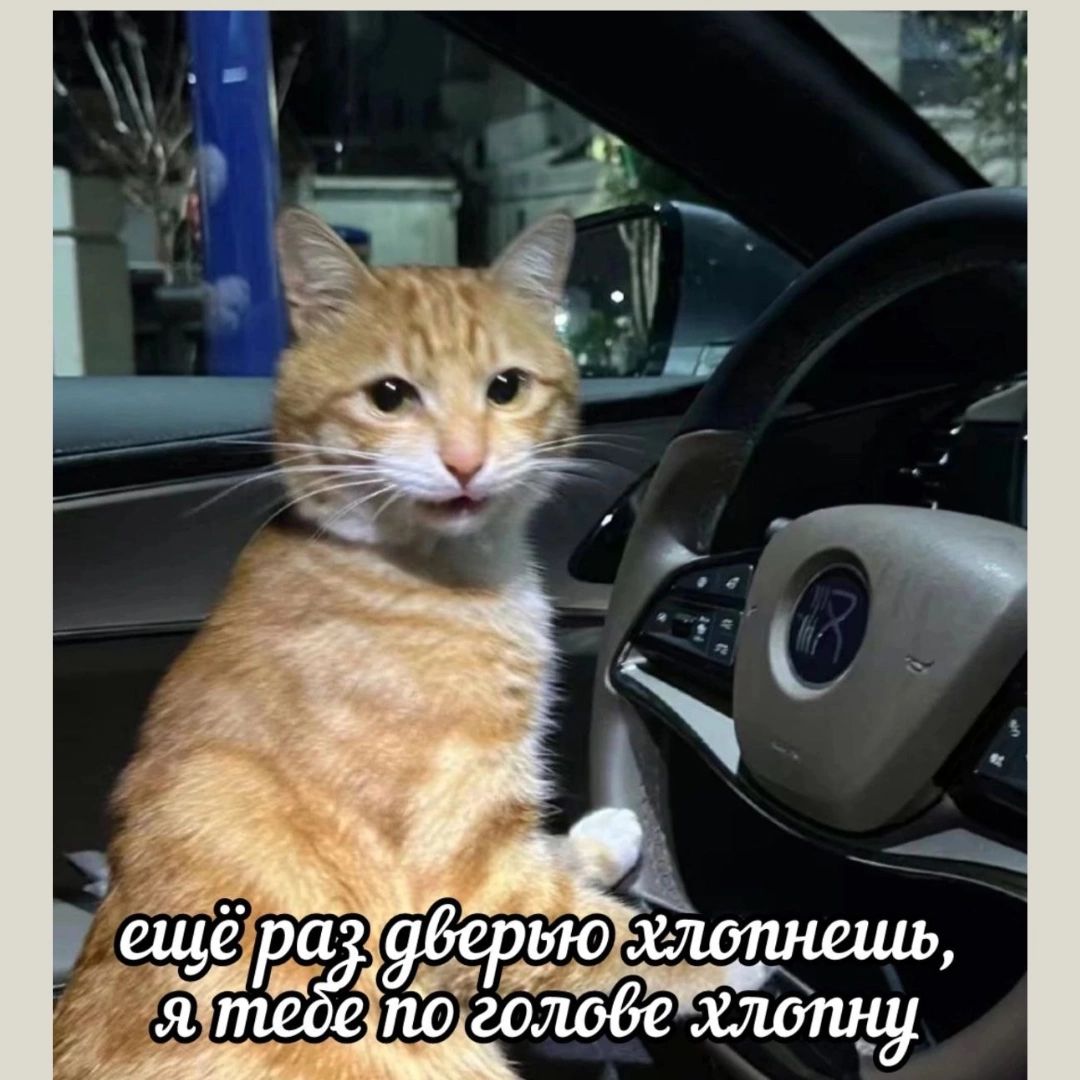 ещё раз дверью хлопнешь, я тебе по голове хлопну