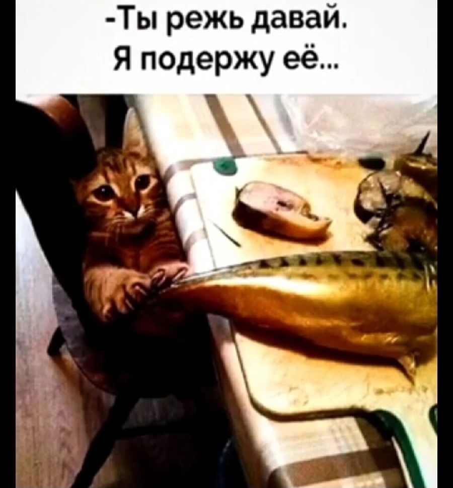 -Ты режь давай. Я подержу ёё...