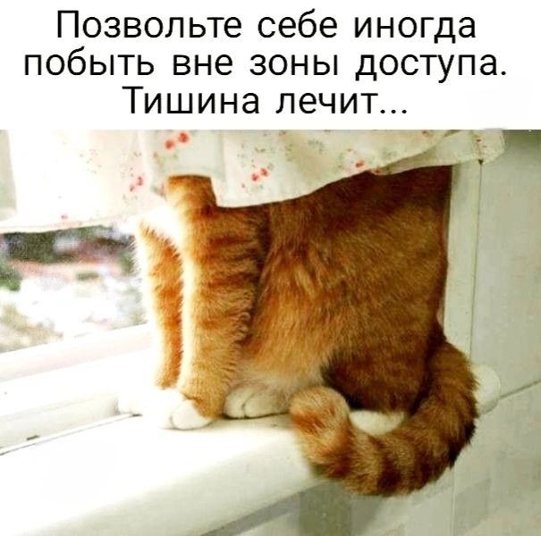 Позвольте себе иногда побыть вне зоны доступа. Тишина лечит...