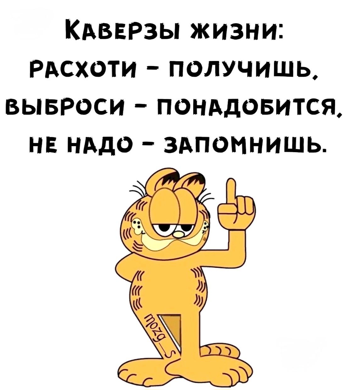 Каверзы жизни: расходы - получишь, выброси - понадобится, не надо - запомнишь.