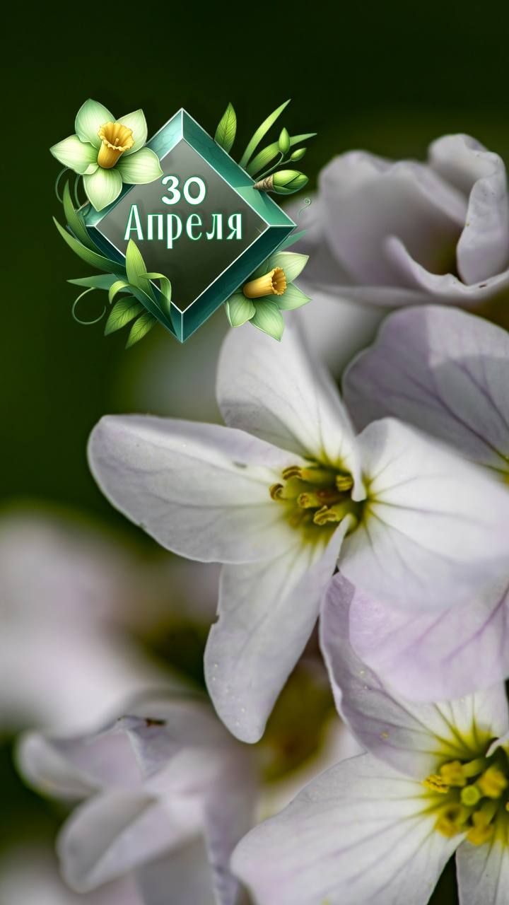 30 Апреля