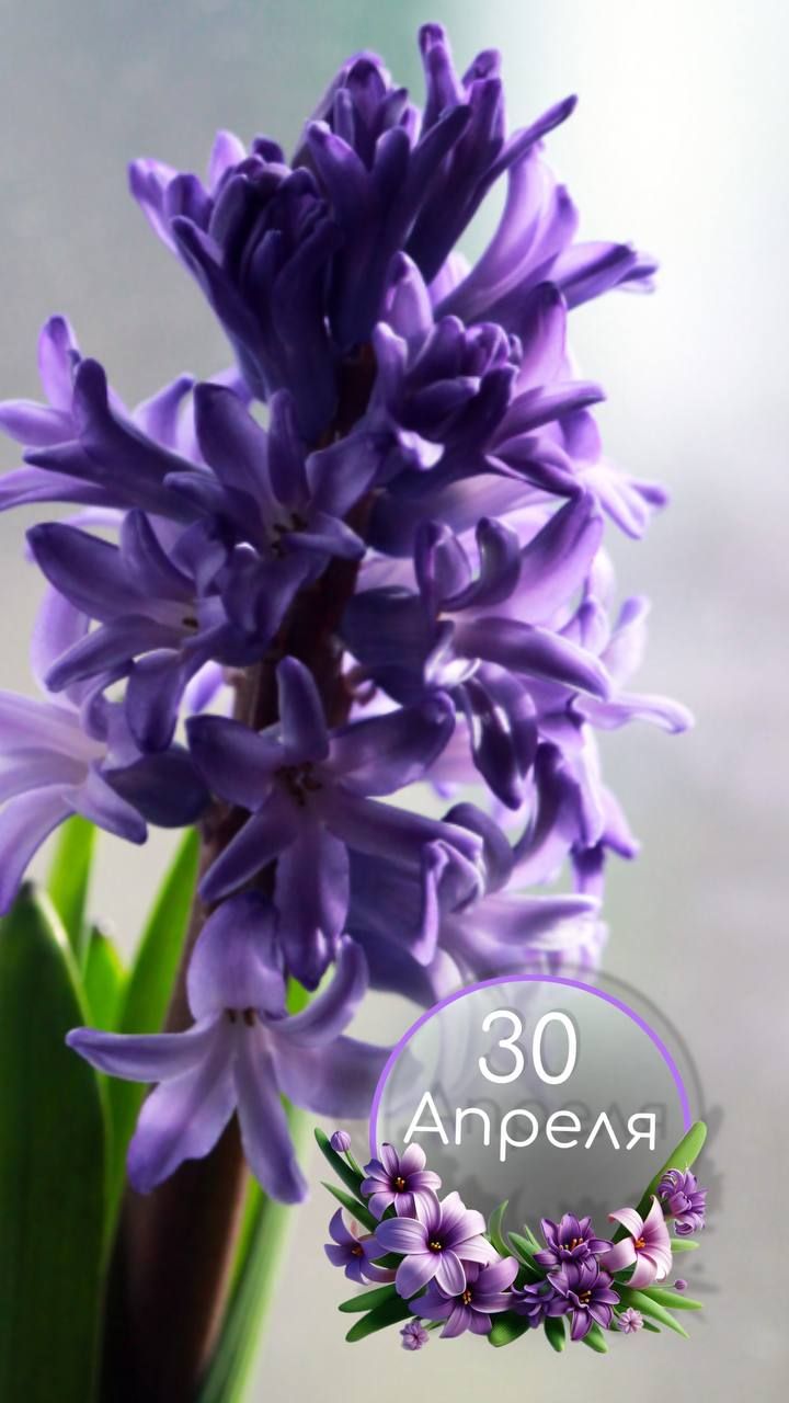 30 Апреля