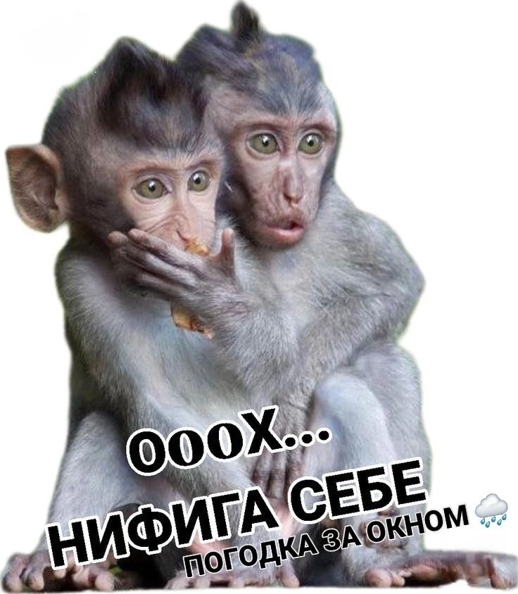 ОООХ... НИФИГА СЕБЕ ПОГОДКА ЗА ОКНОМ