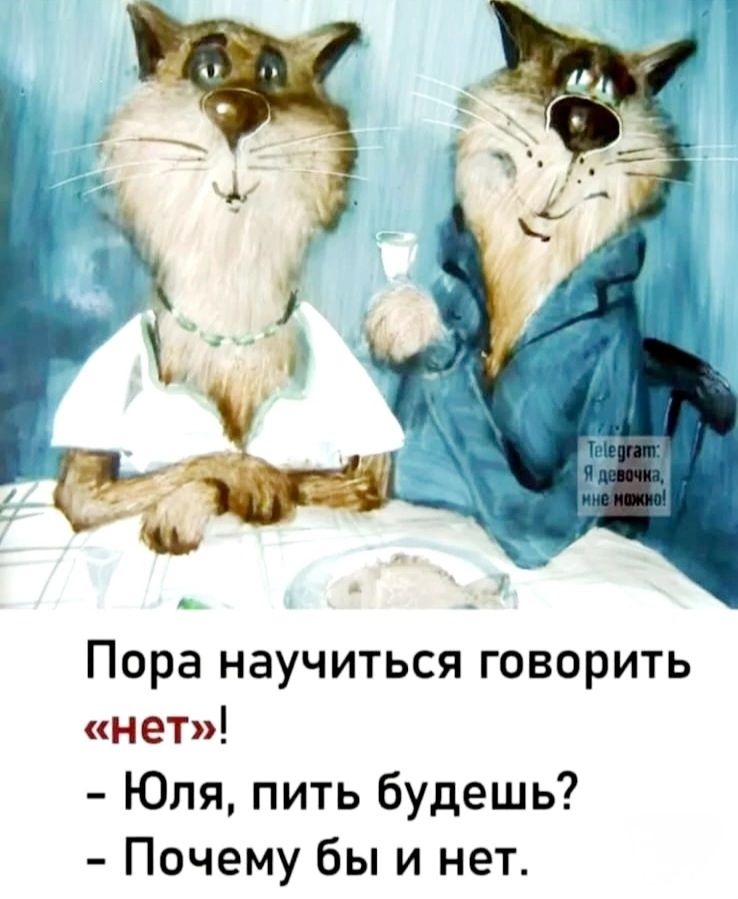 Пора научиться говорить «нет»! - Юля, пить будешь? - Почему бы и нет.