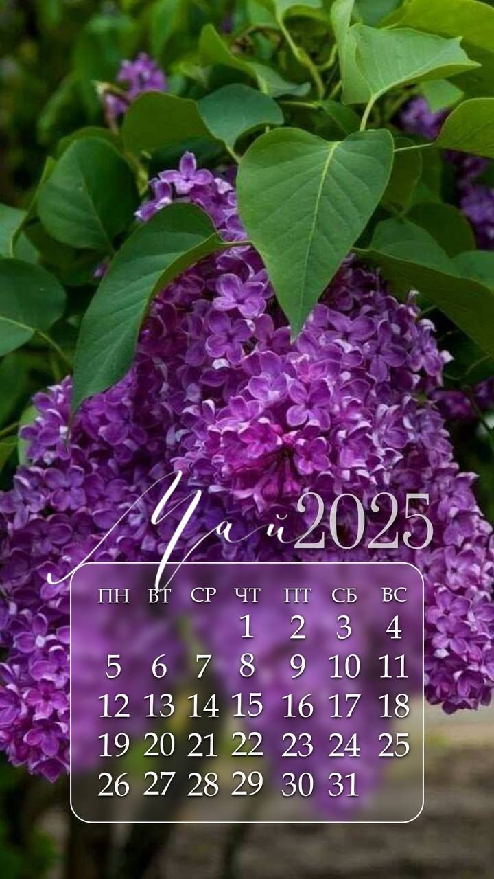 Май 2025
ПН ВТ СР ЧТ ПТ СБ ВС
1 2 3 4
5 6 7 8 9 10 11
12 13 14 15 16 17 18
19 20 21 22 23 24 25
26 27 28 29 30 31