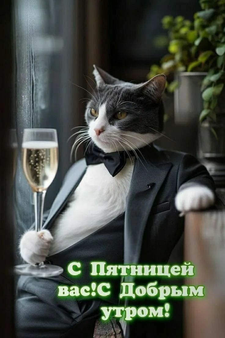 С Пятницей вас! С Добрым утром!