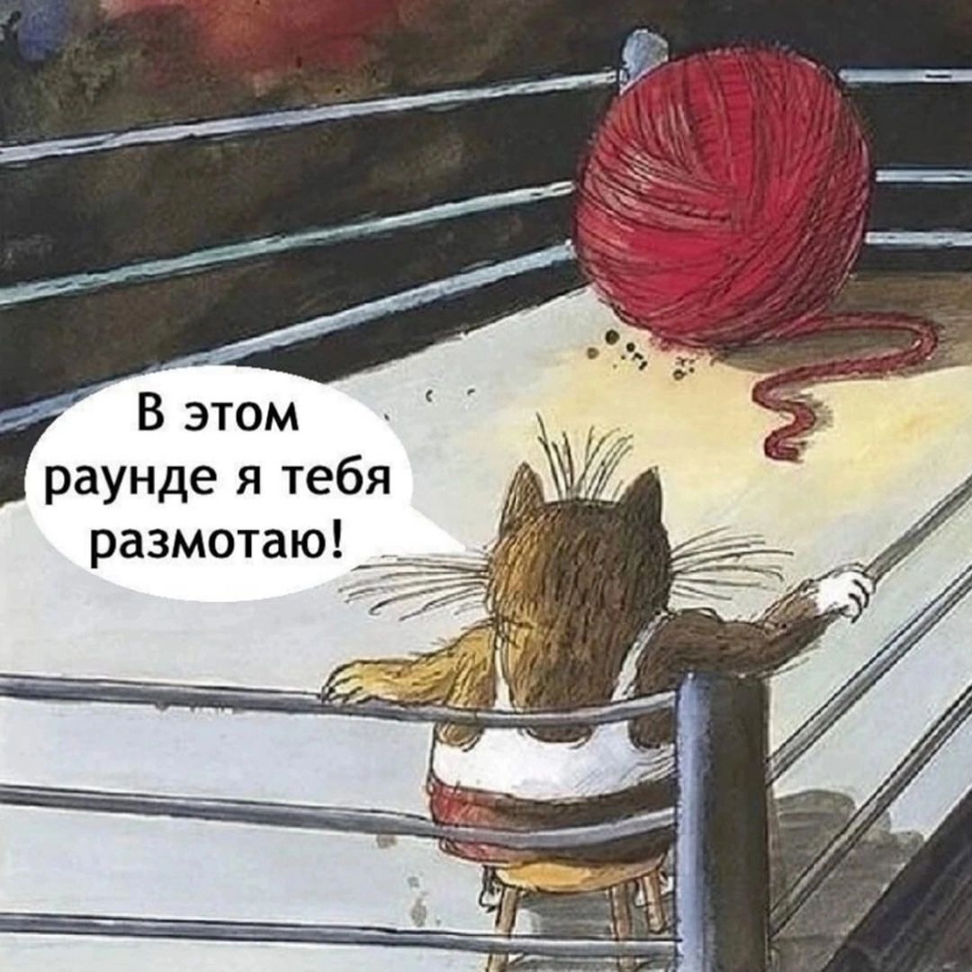 В этом раунде я тебя размотаю!