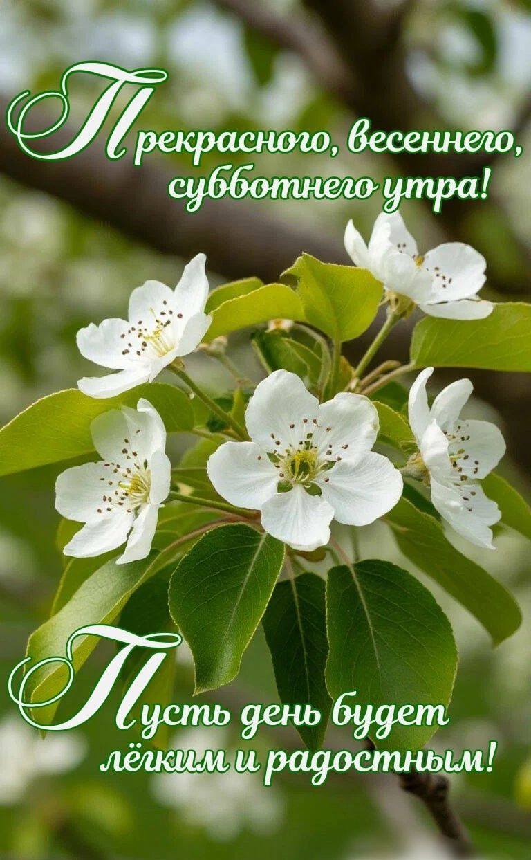 Прекрасного, весеннего, субботнего утра! Пусть день будет лёгким и радостным!