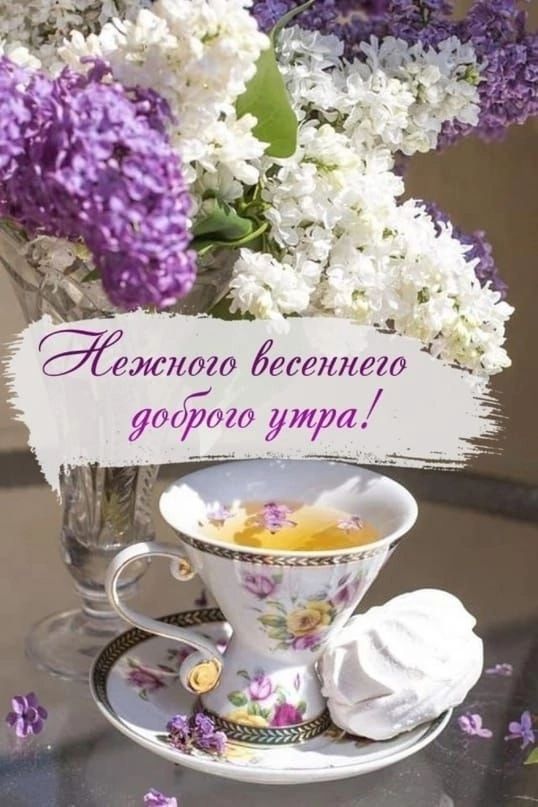 Нежного весеннего доброго утра!