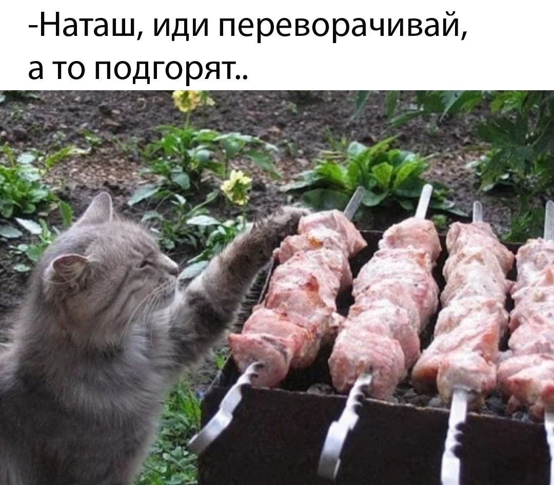 -Наташ, иди переворачивай, а то подгорят..