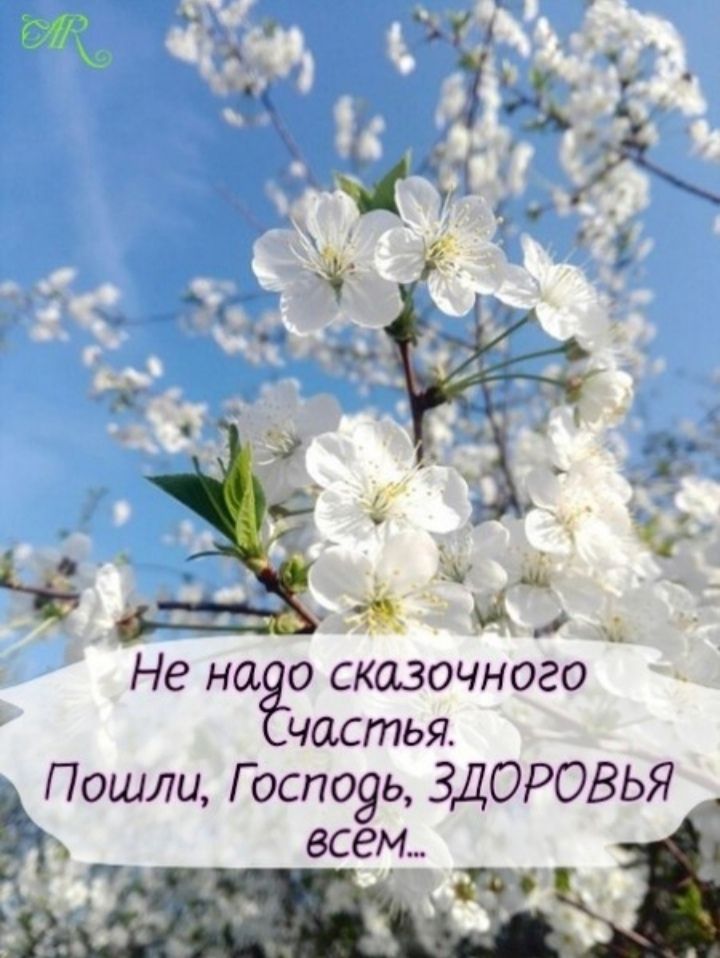 Не надо сказочного Счастья. Пошли, Господь, ЗДОРОВЬЯ всем...