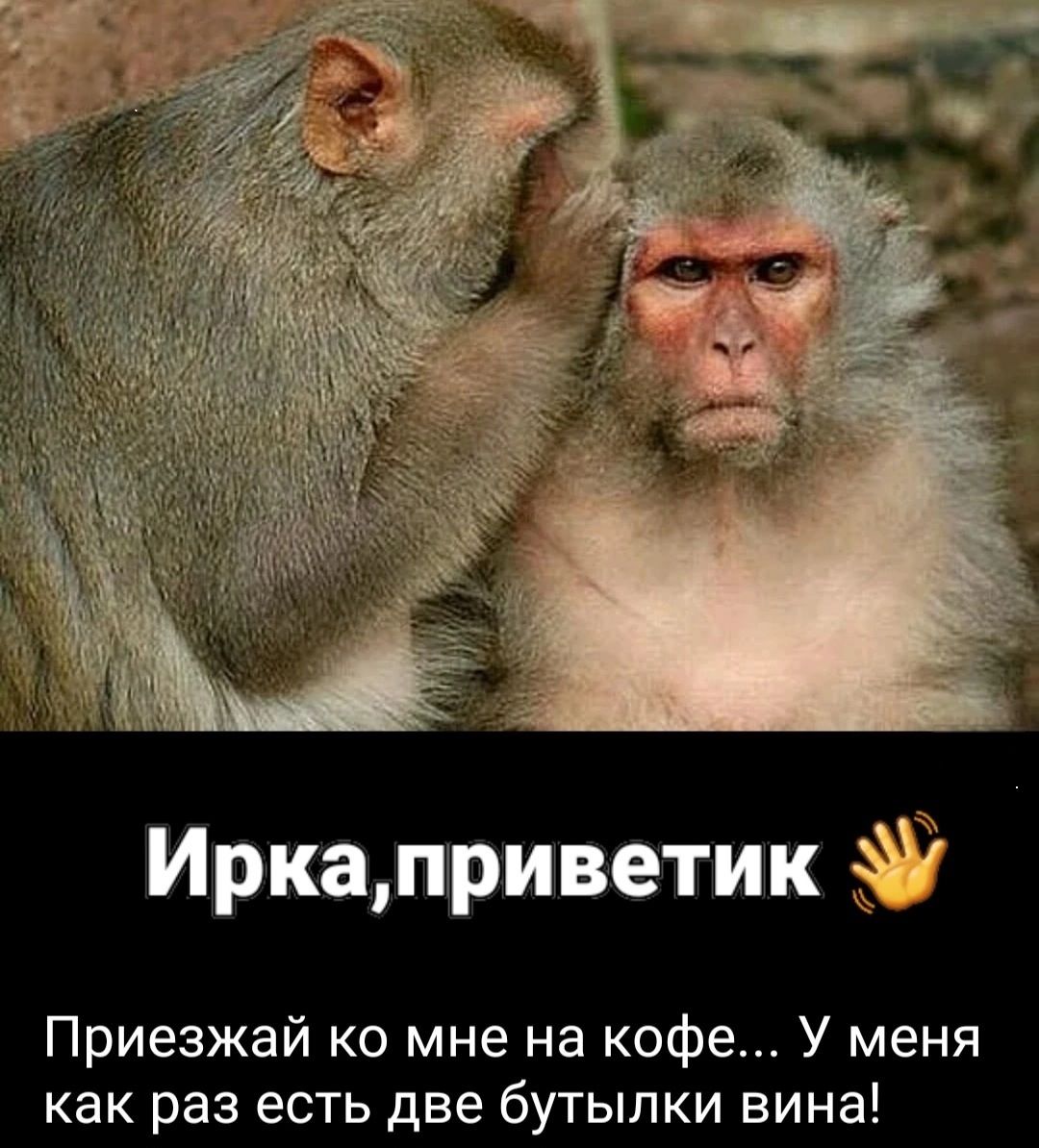 Ирка, приветик 👋 Приезжай ко мне на кофе... У меня как раз есть две бутылки вина!