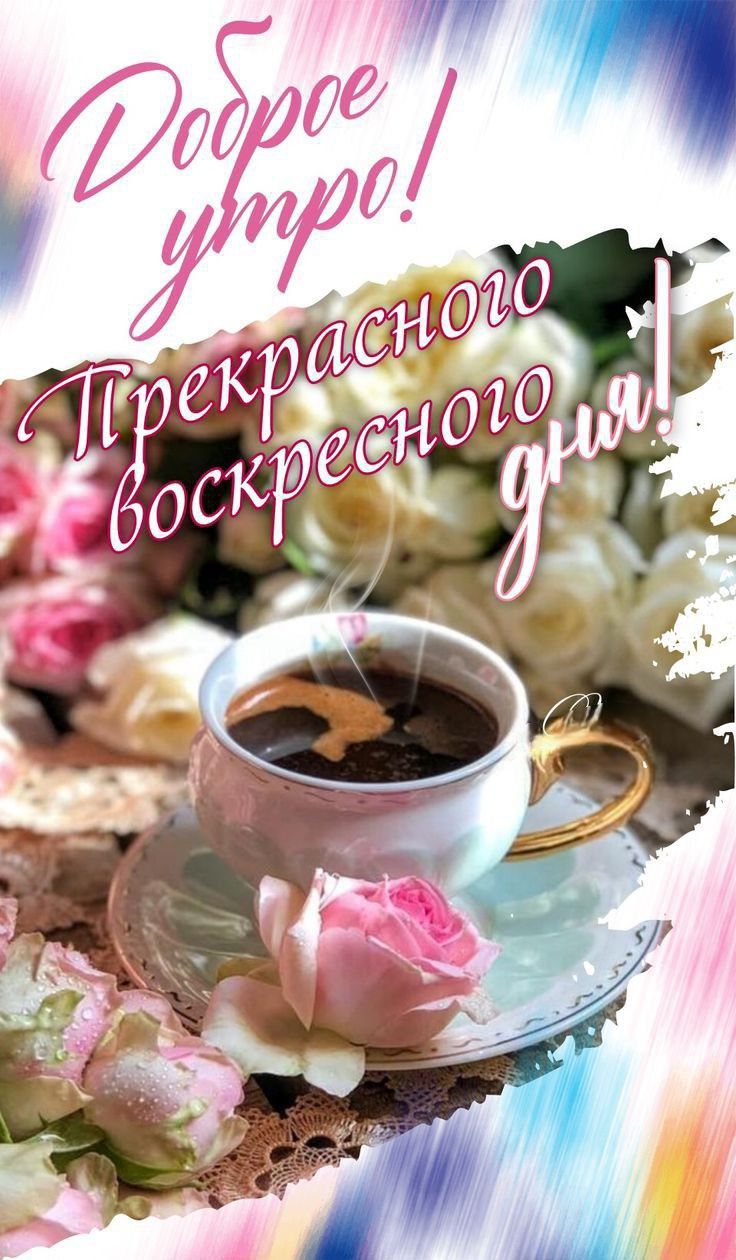 Доброе утро! Прекрасного воскресного дня!