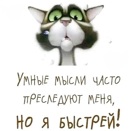 УМНЫЕ МЫСЛИ ЧАСТО ПРЕСЛЕДУЮТ МЕНЯ, НО Я БЫСТРЕЙ!