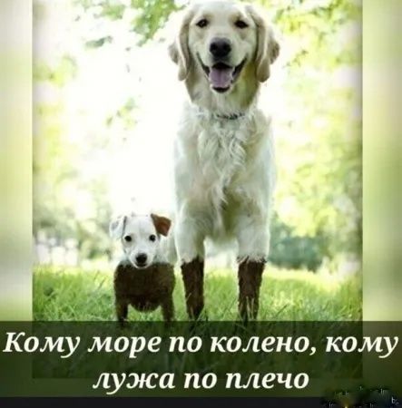 Кому море по колено, кому лужа по плечо
