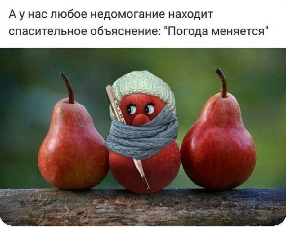 А у нас любое недомогание находит спасительное объяснение: 