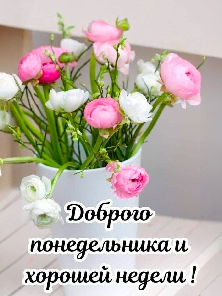 Доброго понедельника и хорошей недели !