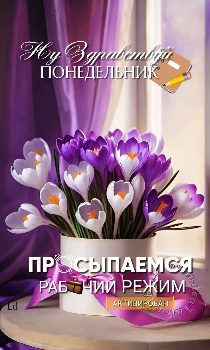 Ну Зdravствуй Понедельник
ПРОСЫПАЕМСЯ РАБочий РЕЖИМ
АКТИВИРОВАН