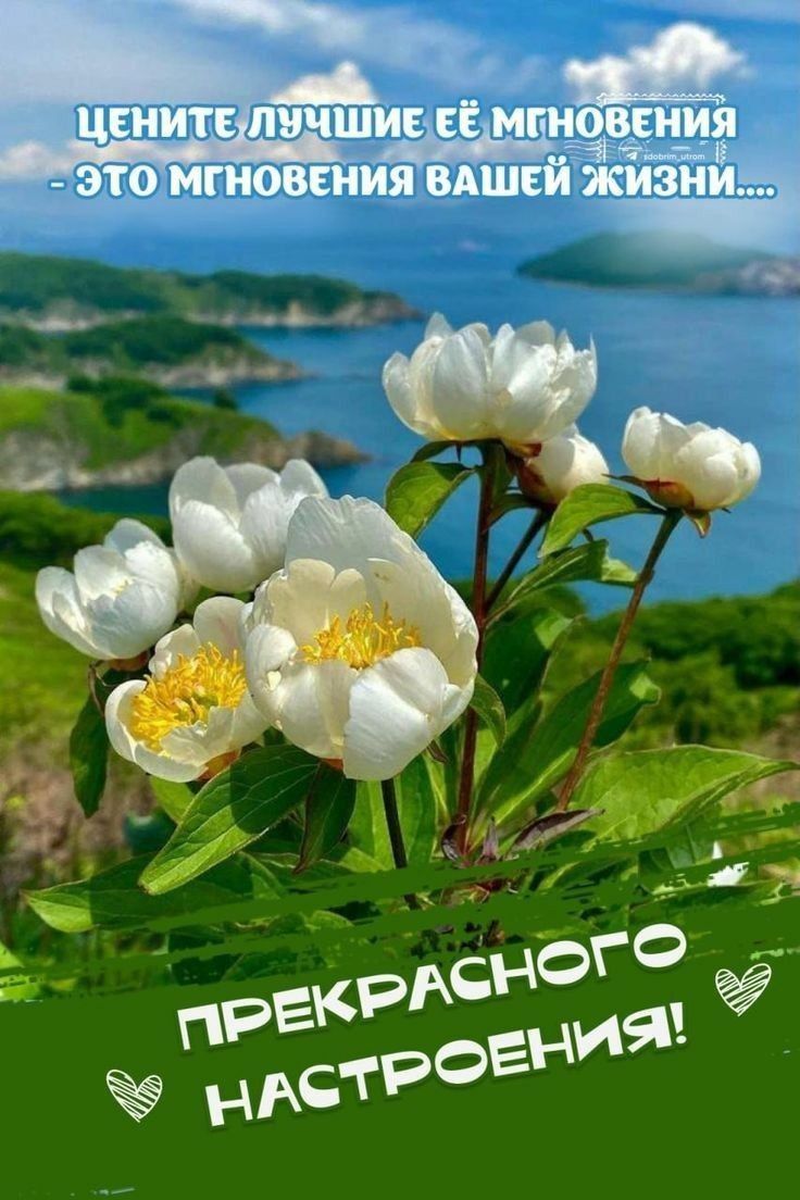 ЦЕНИТЕ ЛУЧШИЕ ЕЁ МГНОВЕНИЯ - ЭТО МГНОВЕНИЯ ВАШЕЙ ЖИЗНИ... ПРЕКРАСНОГО НАСТРОЕНИЯ!