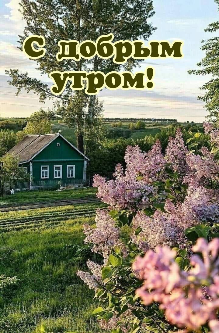 С добрым утром!