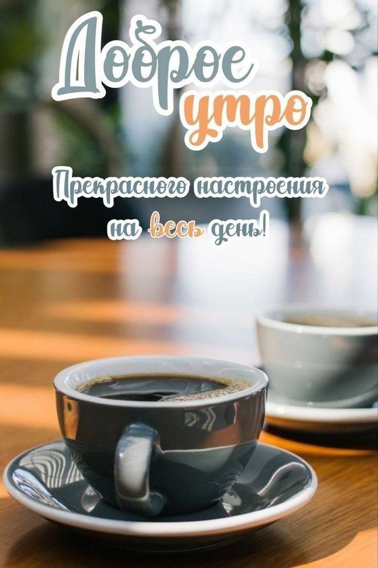Доброе утро
Прекрасного настроения на весь день!