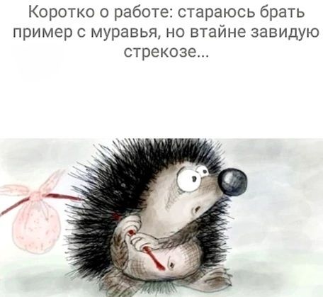 Коротко о работе: стараюсь брать пример с муравья, но втайне завидую стрекозе...