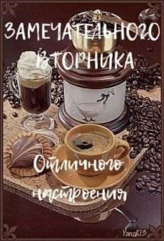 ЗАМЕЧАТЕЛЬНОГО ВТОРНИКА
Отличного настроения