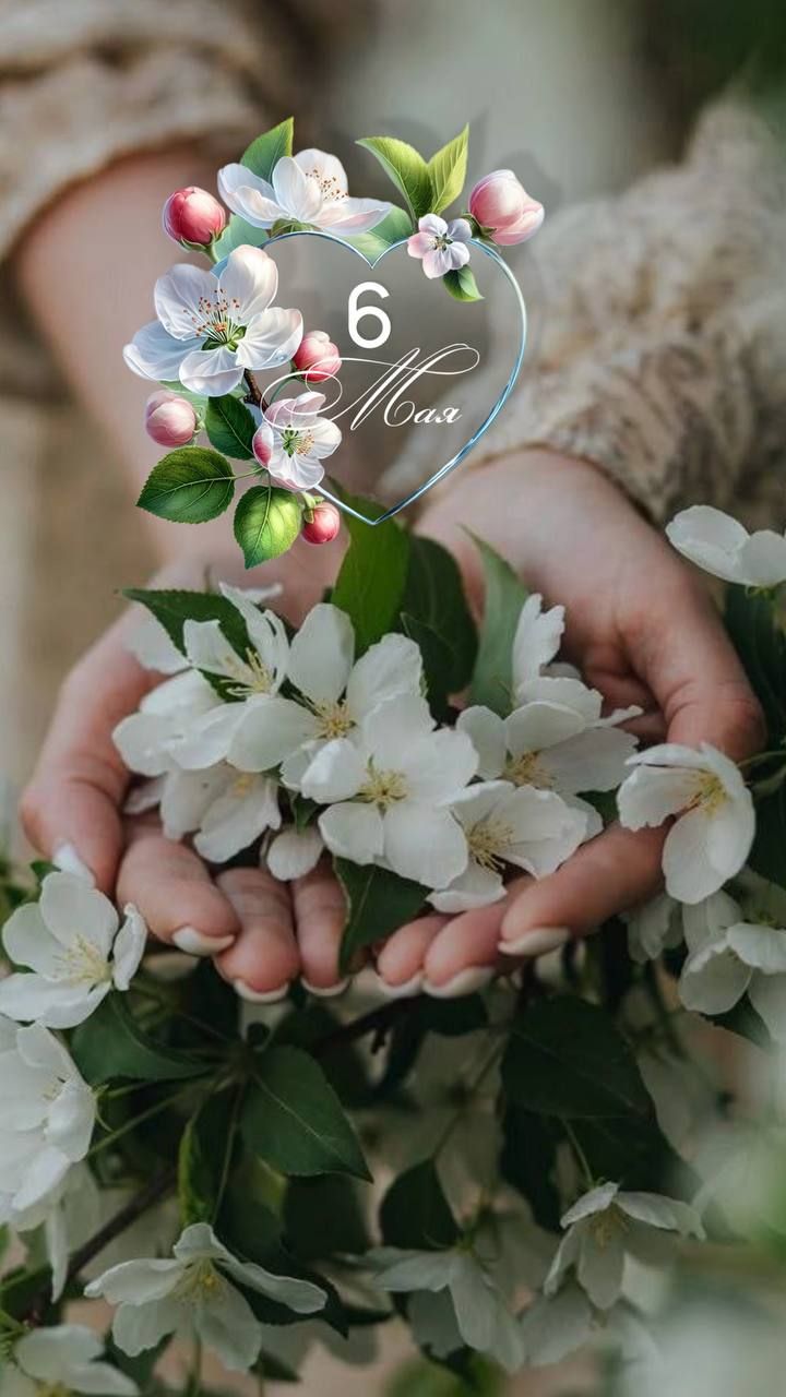 6 Мая