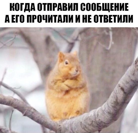 КОГДА ОТПРАВИЛ СООБЩЕНИЕ А ЕГО ПРОЧИТАЛИ И НЕ ОТВЕТИЛИ