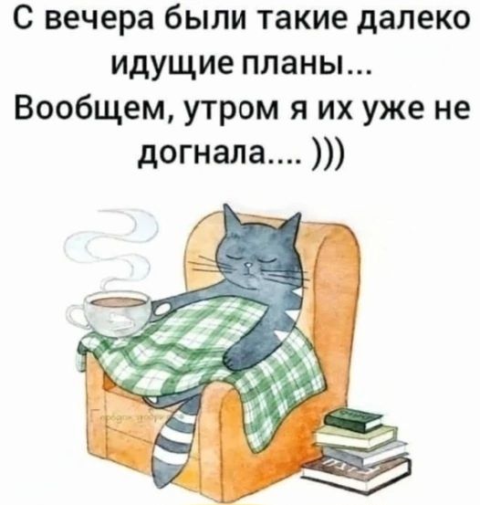 С вечера были такие далеко идущие планы... Вообщем, утром я их уже не догнала.... )))