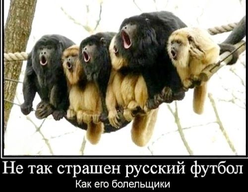 Не так страшен русский футбол Как его болельщики