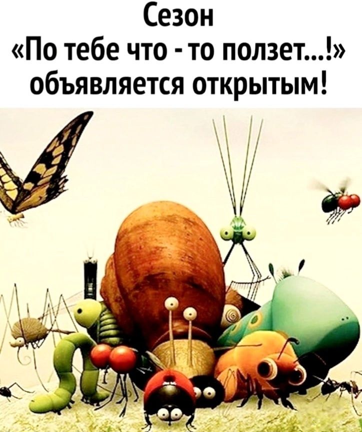 Сезон «По тебе что - то ползет...!» объявляется открытым!