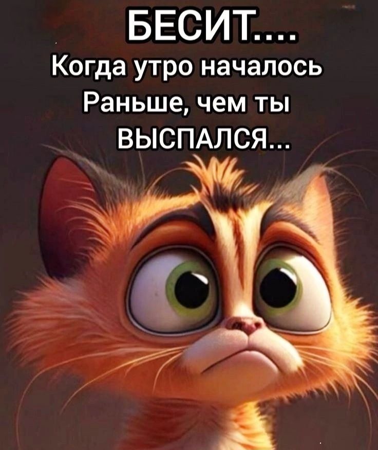 БЕСИТ....
Когда утро началось
Раньше, чем ты
ВЫСПАЛСЯ...